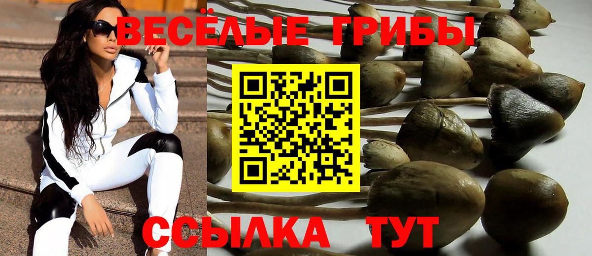 где купить наркоту  Псилоцибиновые грибы Magic Shrooms  Вход с VPN  Псилоцибиновые грибы прущие грибы  Снежинск 